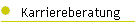 Karriereberatung
